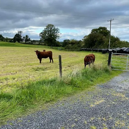 Apartment Toddys Hideaway Cavan