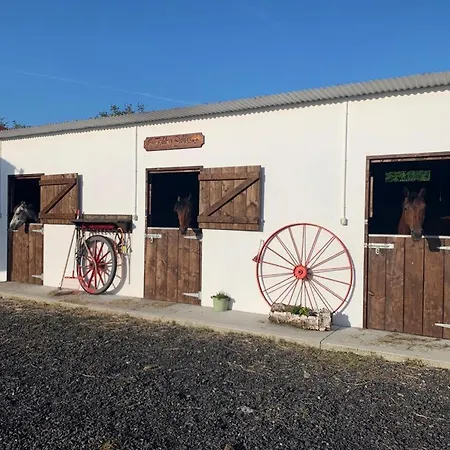 Toddys Hideaway Appartamento *