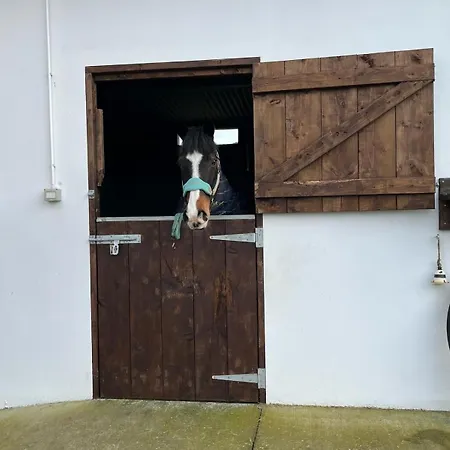 Διαμέρισμα Toddys Hideaway *