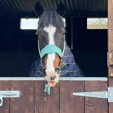 Appartamento Toddys Hideaway Cavan