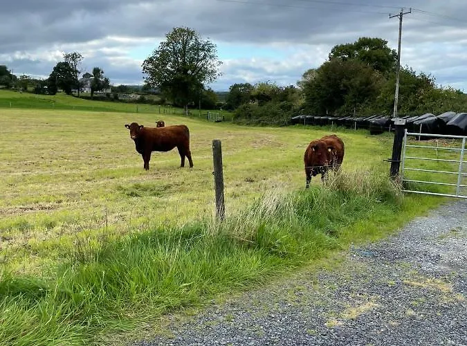 Apartament Toddys Hideaway Cavan