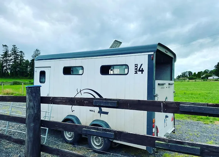 Apartament Toddys Hideaway Cavan