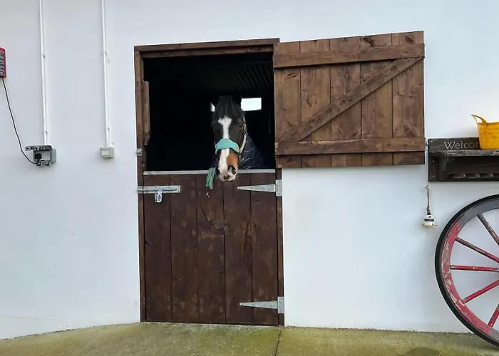 Appartement Toddys Hideaway *