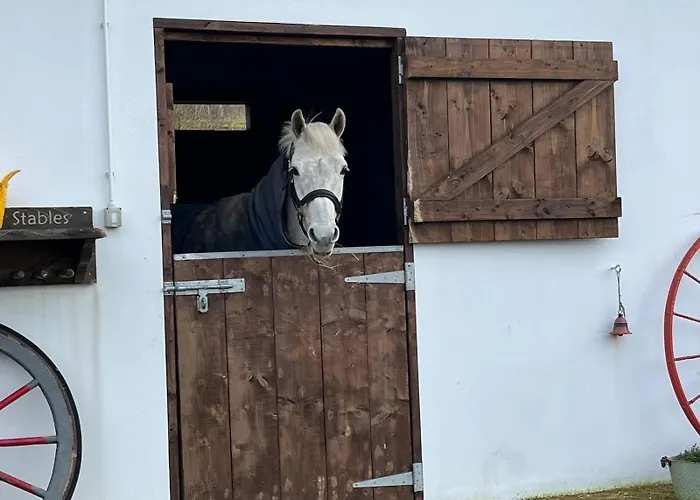 Appartement Toddys Hideaway *